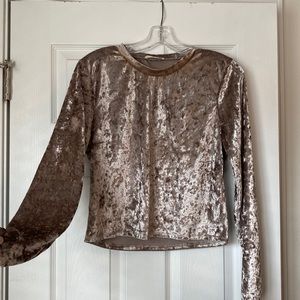 Silver/taupe velvet long sleeve crop top